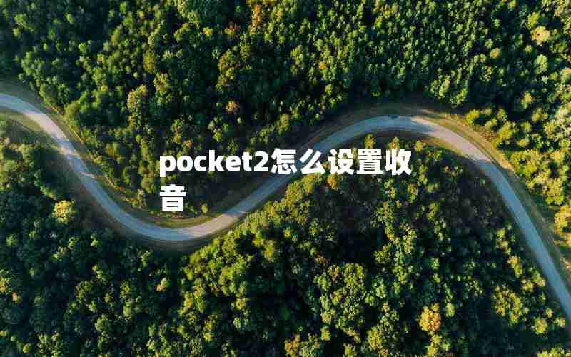 pocket2怎么设置收音 pocket2怎么设置收音
