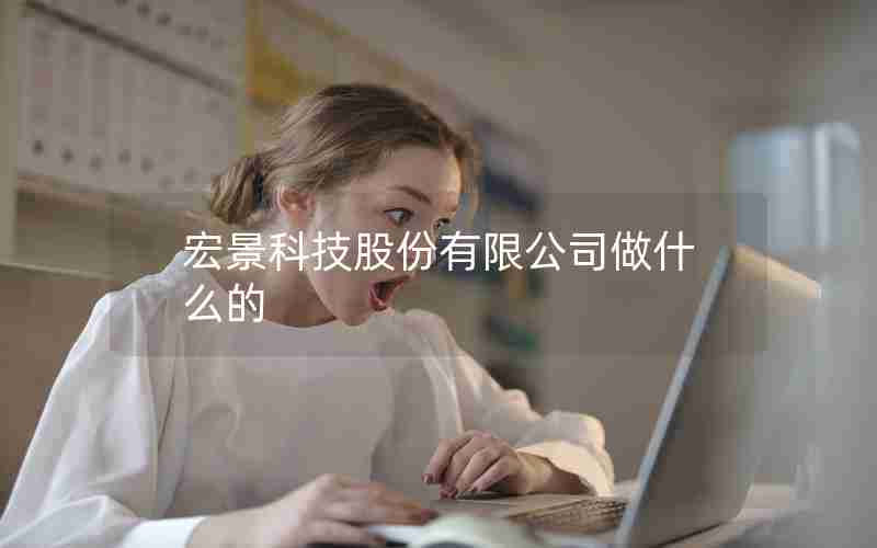 宏景科技股份有限公司做什么的