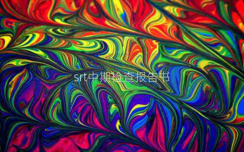 srt中期检查报告书 srt中期检查报告书