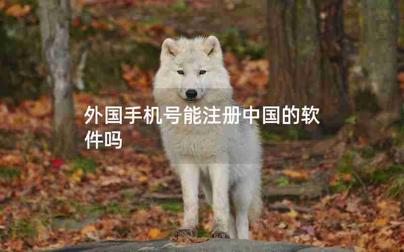 外国手机号能注册中国的软件吗 外国手机号能注册中国的软件吗