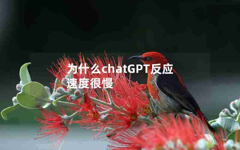 为什么chatGPT反应速度很慢 为什么chatGPT反应速度很慢