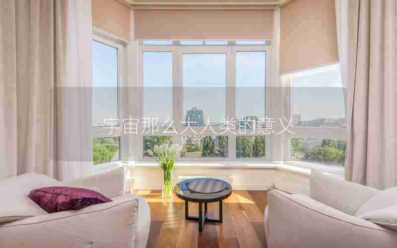 宇宙那么大人类的意义