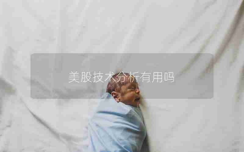 美股技术分析有用吗