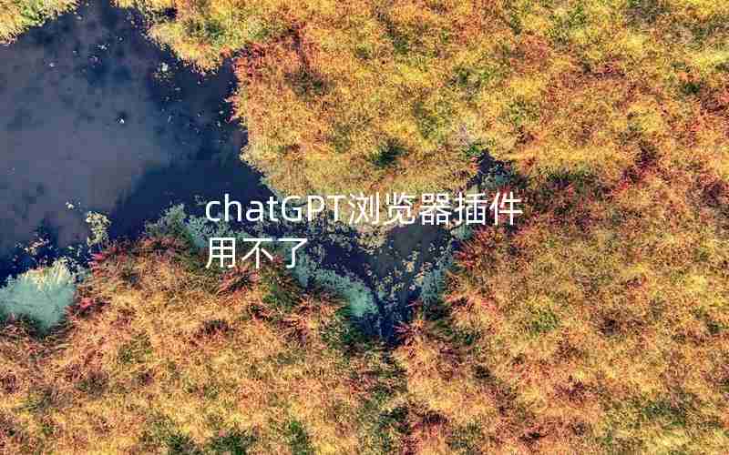 chatGPT浏览器插件用不了 chatGPT浏览器插件用不了