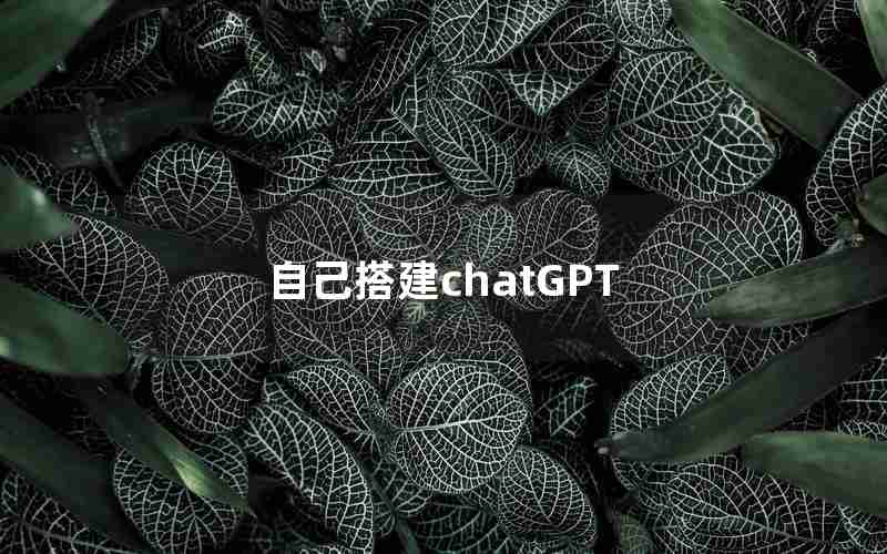 自己搭建chatGPT