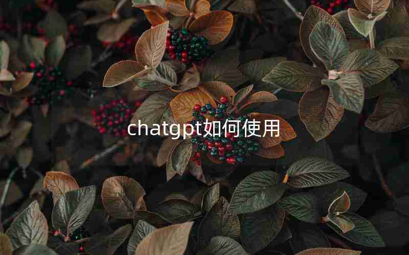 chatgpt如何使用