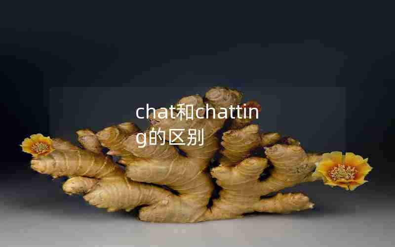 chat和chatting的区别 chat和chatting的区别