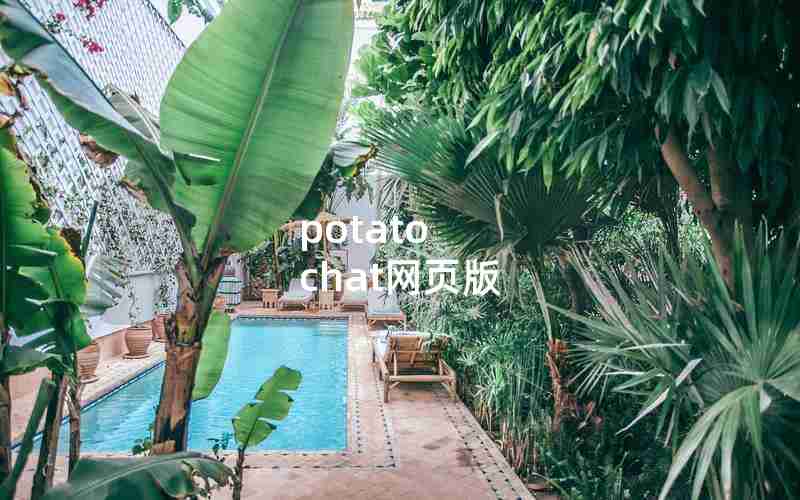 potato chat网页版 potato chat网页版