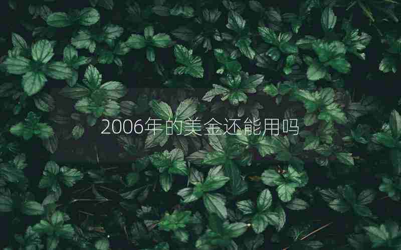 2006年的美金还能用吗