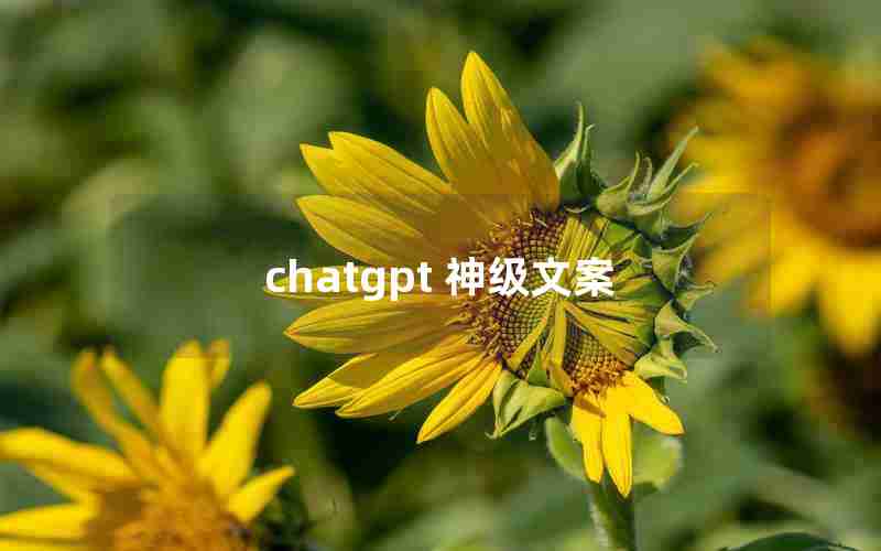 chatgpt 神级文案 chatgpt 神级文案