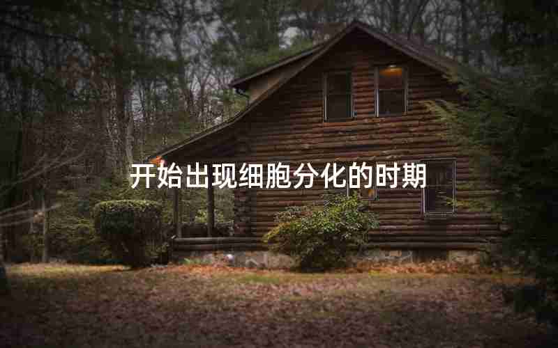 开始出现细胞分化的时期