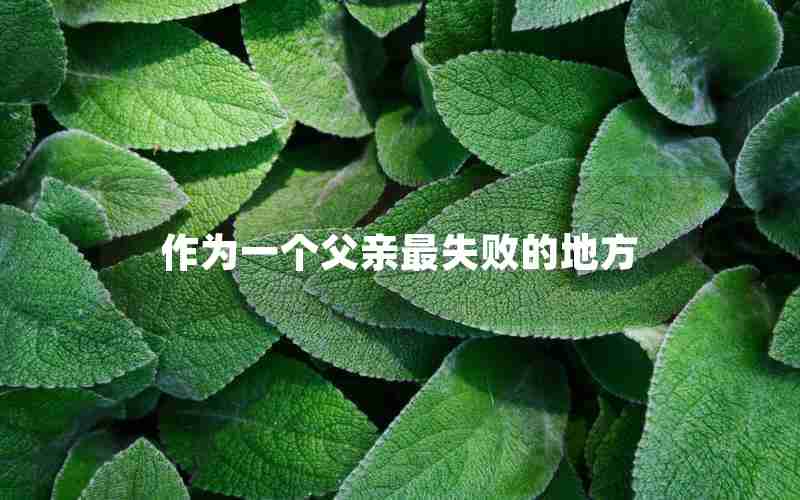 作为一个父亲最失败的地方 作为一个父亲最失败的地方