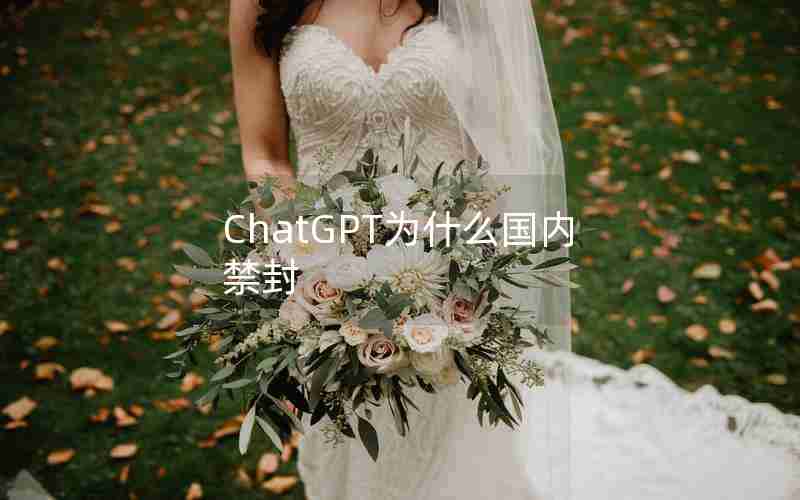 ChatGPT为什么国内禁封 ChatGPT为什么国内禁封