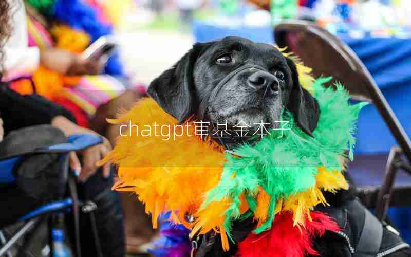 chatgpt审基金本子