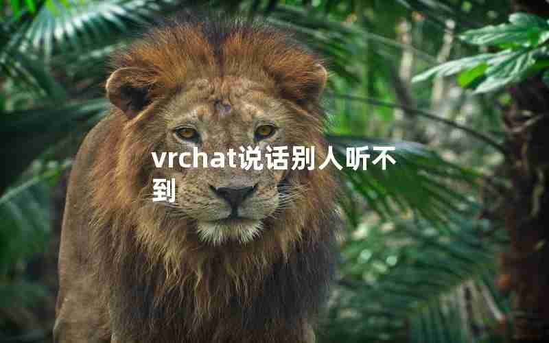 vrchat说话别人听不到