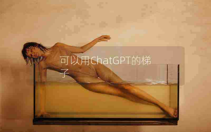 可以用ChatGPT的梯子 可以用ChatGPT的梯子