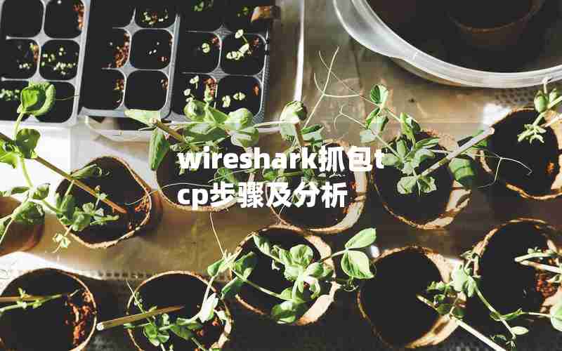 wireshark抓包tcp步骤及分析