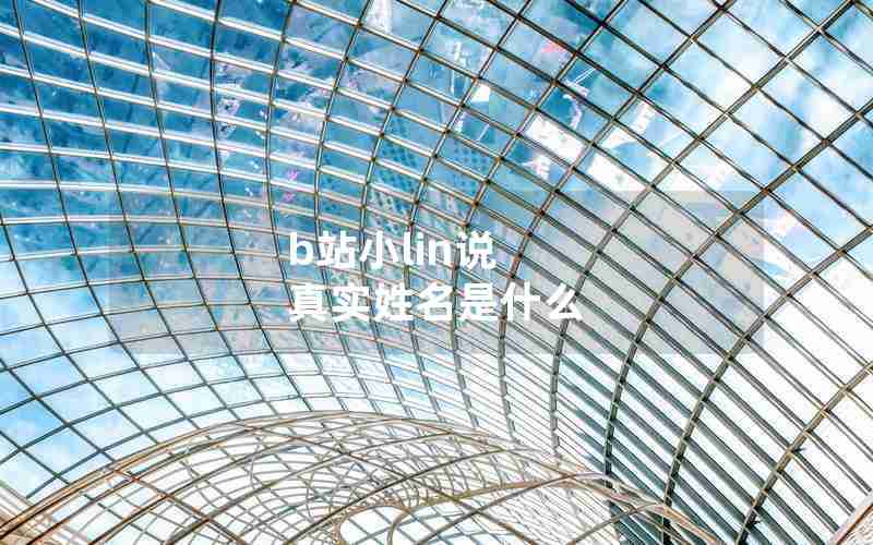 b站小lin说 真实姓名是什么