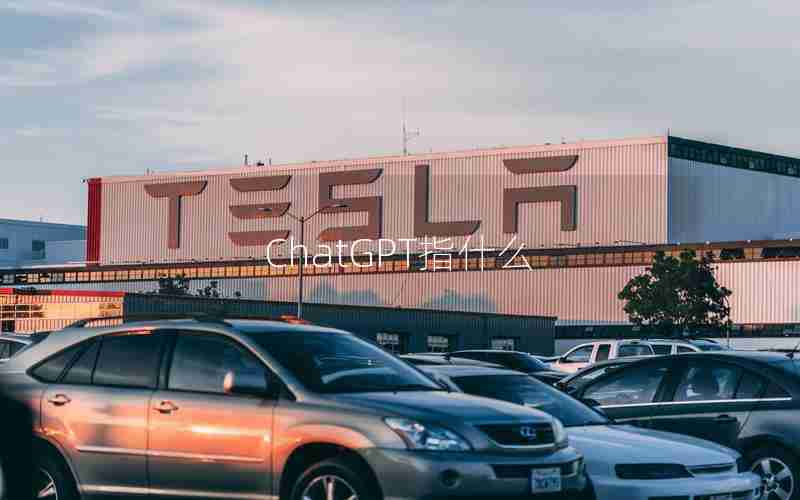 ChatGPT指什么 ChatGPT指什么