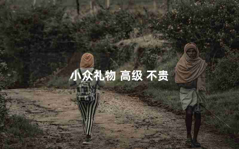 小众礼物 高级 不贵 小众礼物 高级 不贵