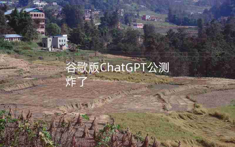 谷歌版ChatGPT公测炸了