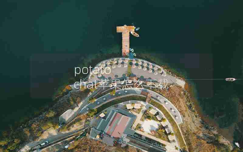 potato chat苹果怎么下载