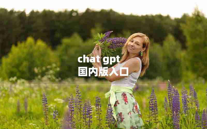 chat gpt 国内版入口