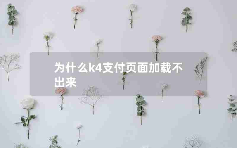为什么k4支付页面加载不出来