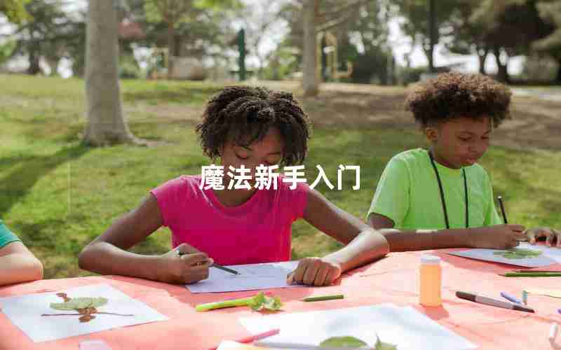 魔法新手入门 魔法新手入门