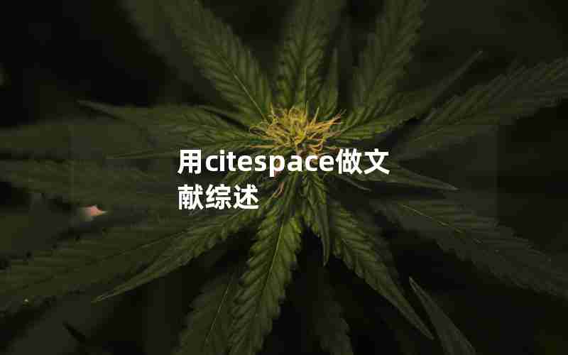 用citespace做文献综述 用citespace做文献综述