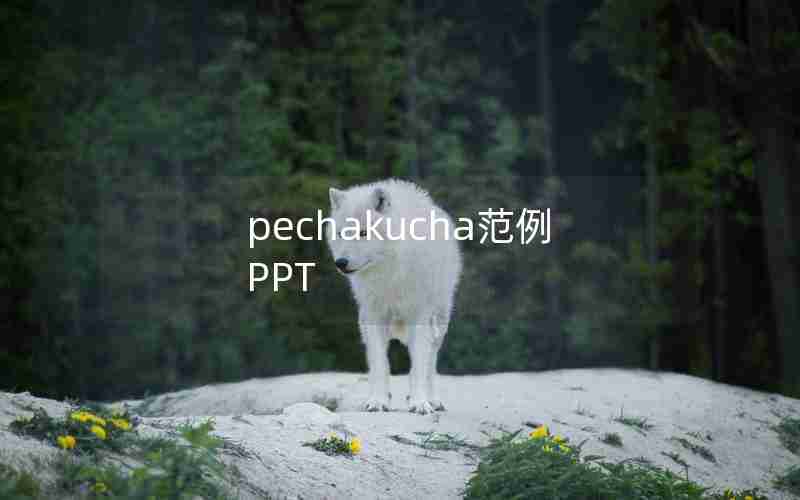 pechakucha范例PPT