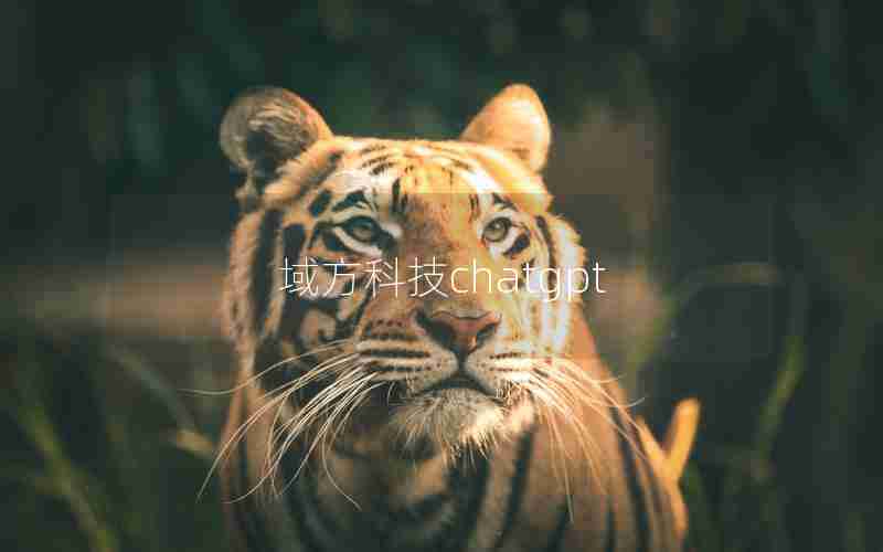 域方科技chatgpt