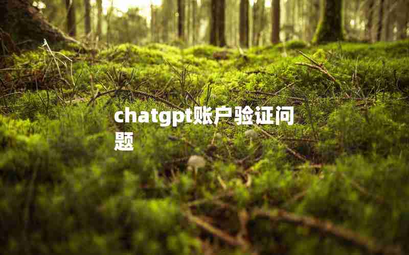 chatgpt账户验证问题 chatgpt账户验证问题
