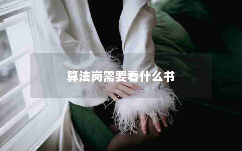 算法岗需要看什么书