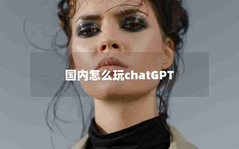 国内怎么玩chatGPT