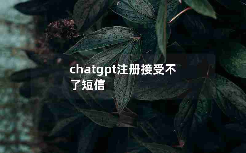 chatgpt注册接受不了短信 chatgpt注册接受不了短信