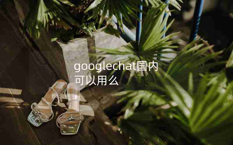 googlechat国内可以用么
