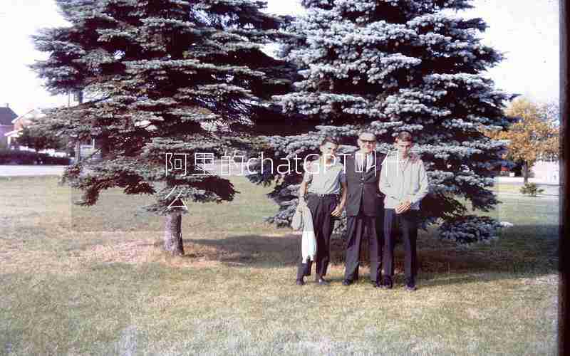 阿里的chatGPT叫什么 阿里的chatGPT叫什么