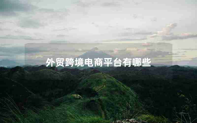 外贸跨境电商平台有哪些