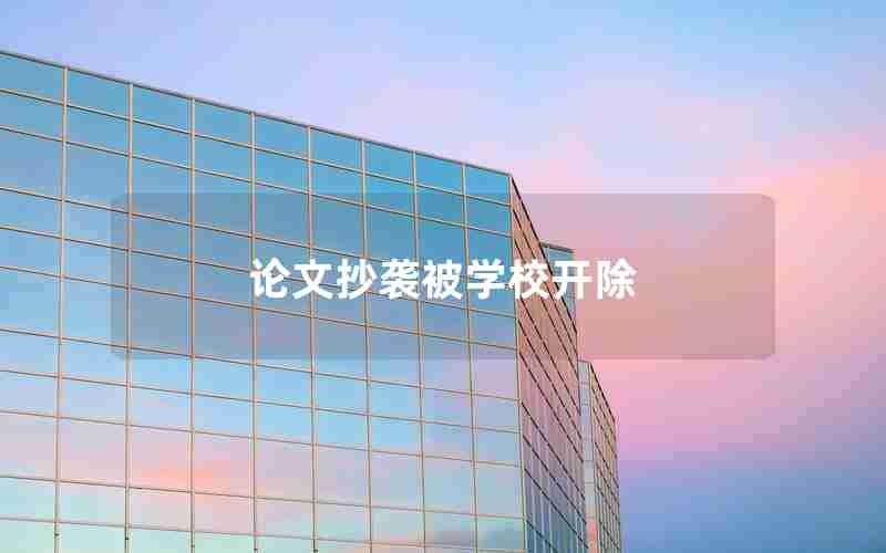 论文抄袭被学校开除