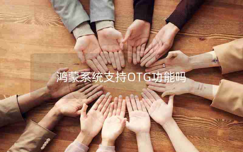 鸿蒙系统支持OTG功能吗 鸿蒙系统支持OTG功能吗