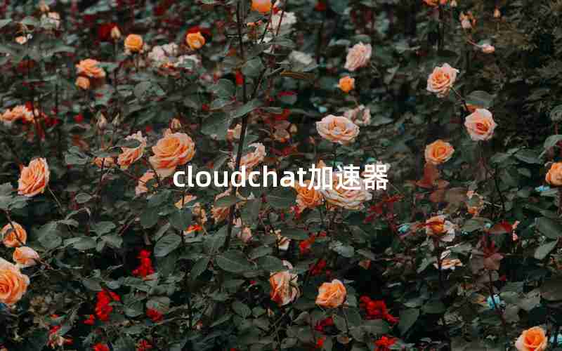 cloudchat加速器