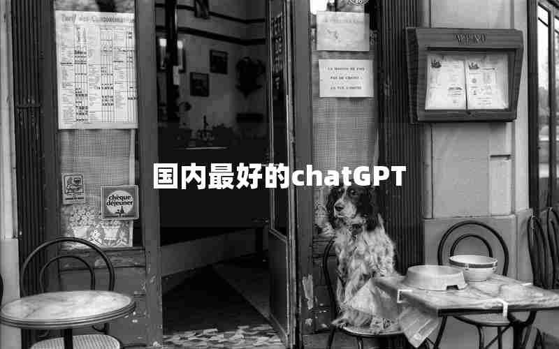 国内最好的chatGPT
