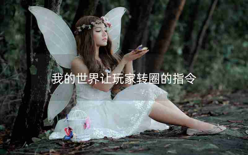 我的世界让玩家转圈的指令 我的世界让玩家转圈的指令