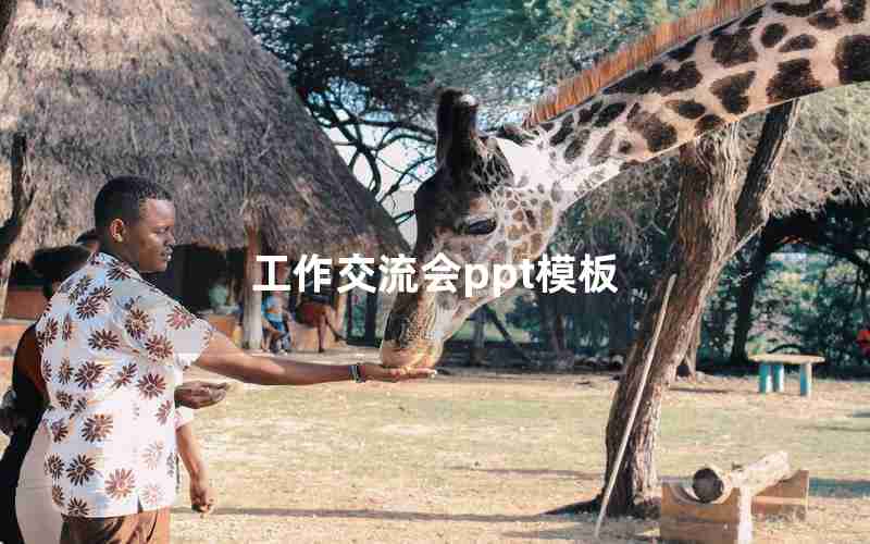 工作交流会ppt模板