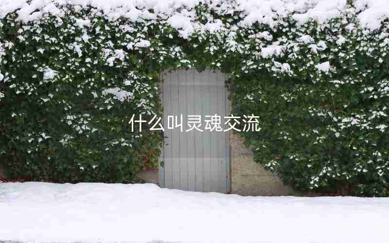什么叫灵魂交流 什么叫灵魂交流