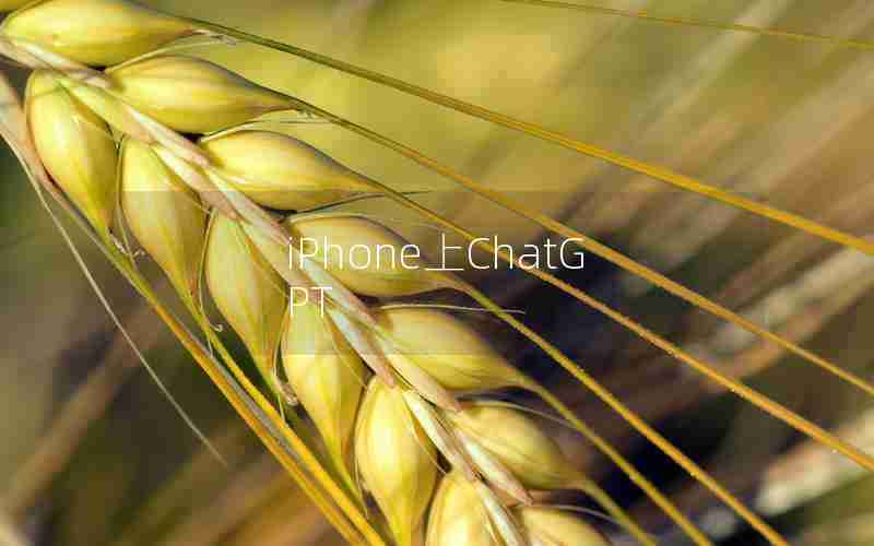 iPhone上ChatGPT iPhone上ChatGPT