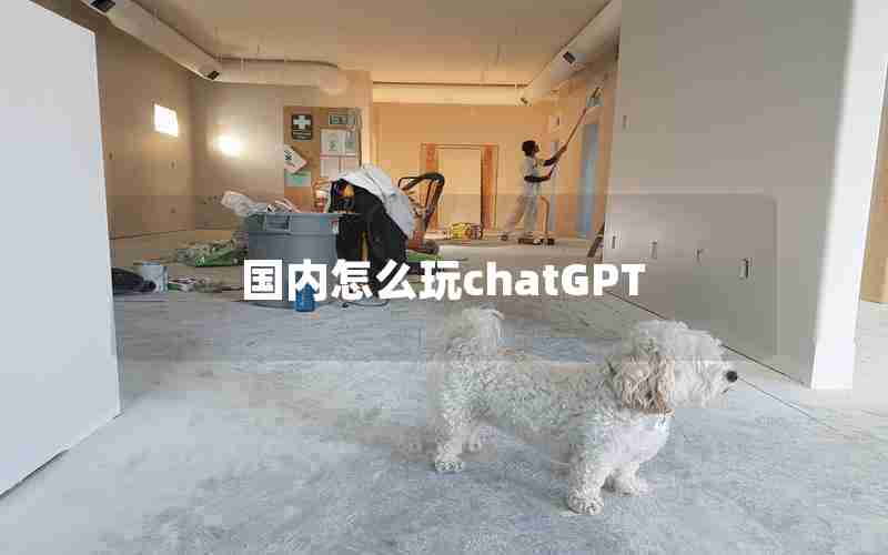 国内怎么玩chatGPT