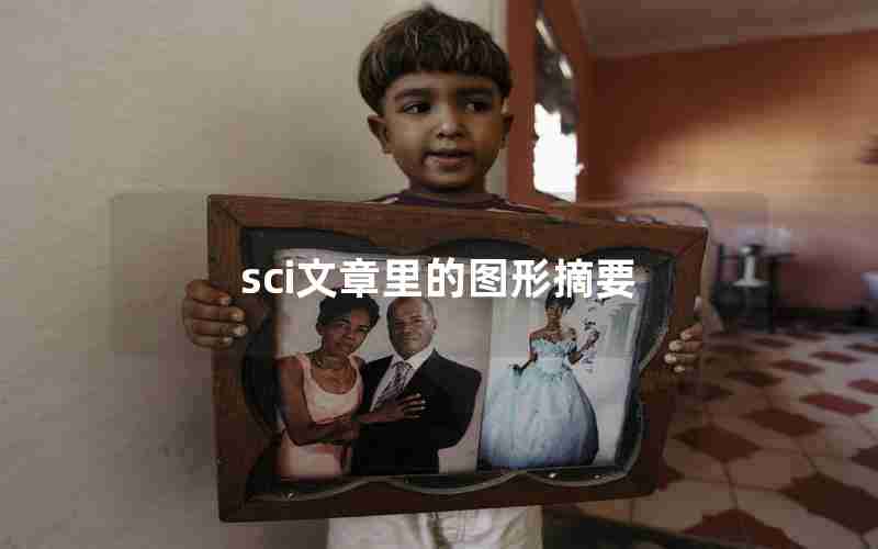 sci文章里的图形摘要 sci文章里的图形摘要