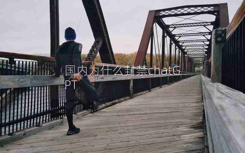 国内为什么封禁chatGPT